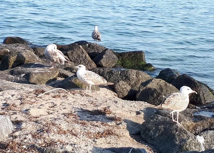 Dachgeschosswohnung Mit Seeblick 아파트 *